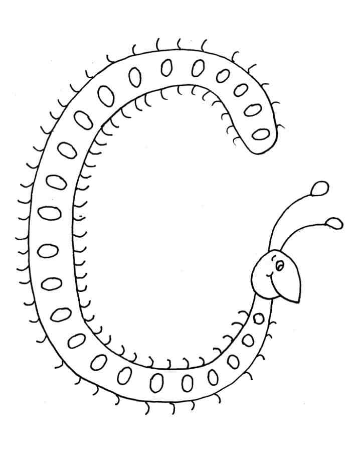 The Caterpillar Bent Into A Semicircle Coloring Page