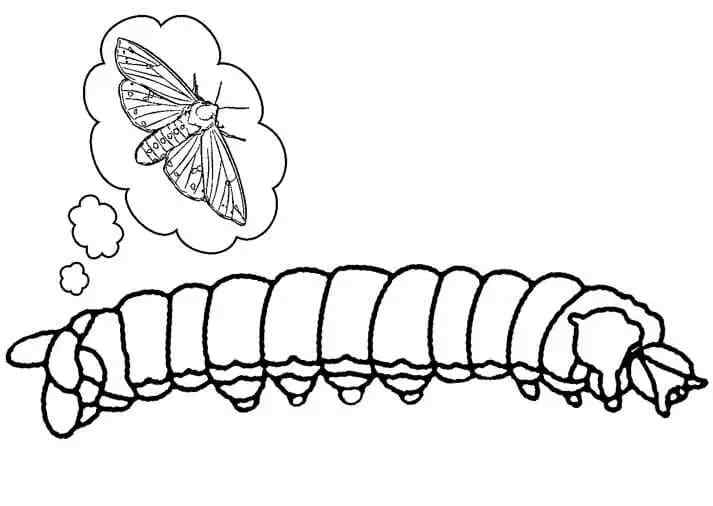 The Caterpillar Sleeps And Sees Its Transformation Into Butterfly Coloring Page