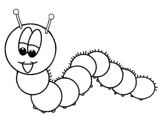 The Caterpillar’s Body Is Covered With Hair Coloring Page