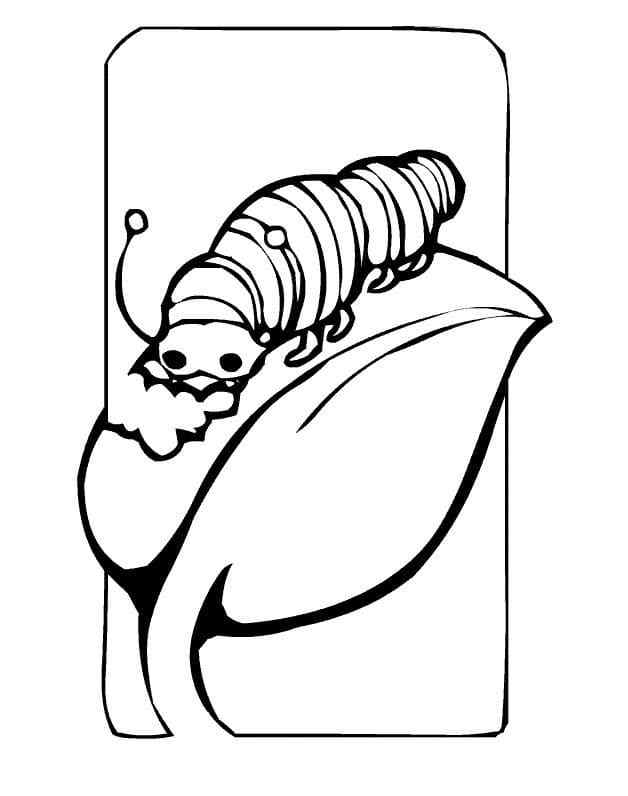 The Foolish Caterpillar Coloring Page