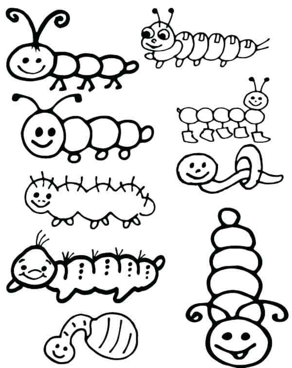 The Variety Of Caterpillars Is Amazing Coloring Page