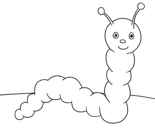 Pecies Of Butterflie Coloring Page