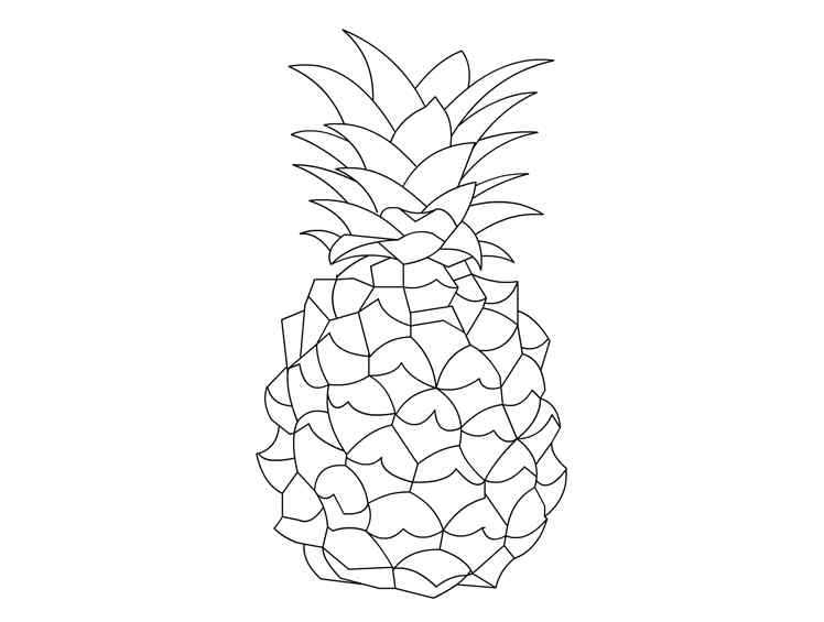 A Pineapple For kids