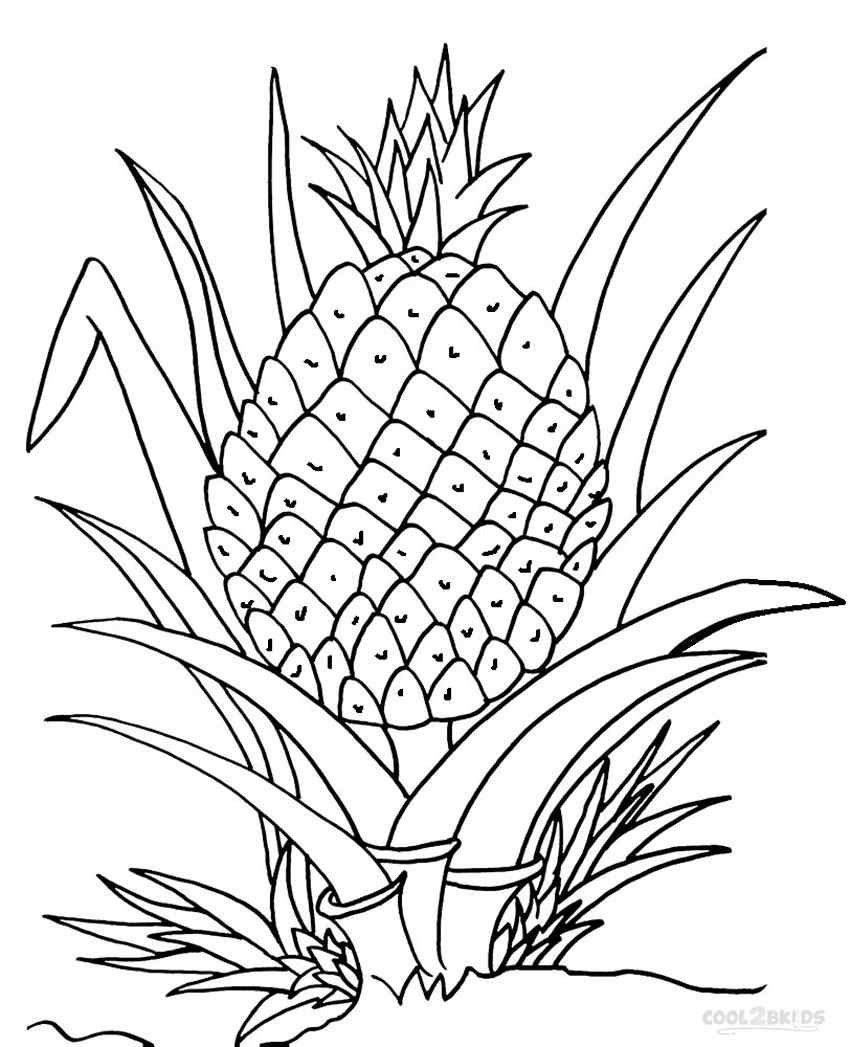 Awesome Pineapple