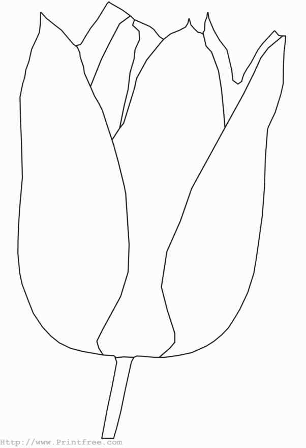 Awesome Tulip Coloring Page