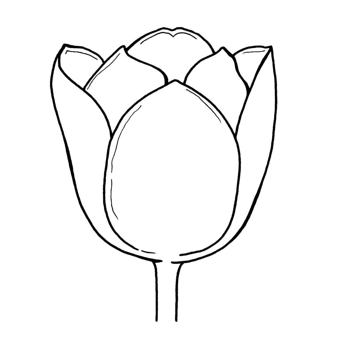 Big Tulip Coloring Page
