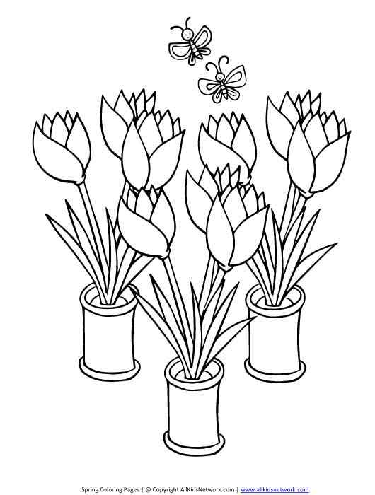 Butterfly And Tulip Coloring Page