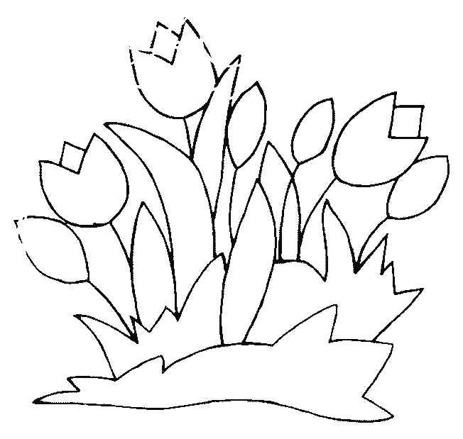 Cute Awesome Tulip Coloring Page