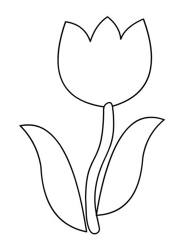 Cute Amazing Tulip Coloring Page