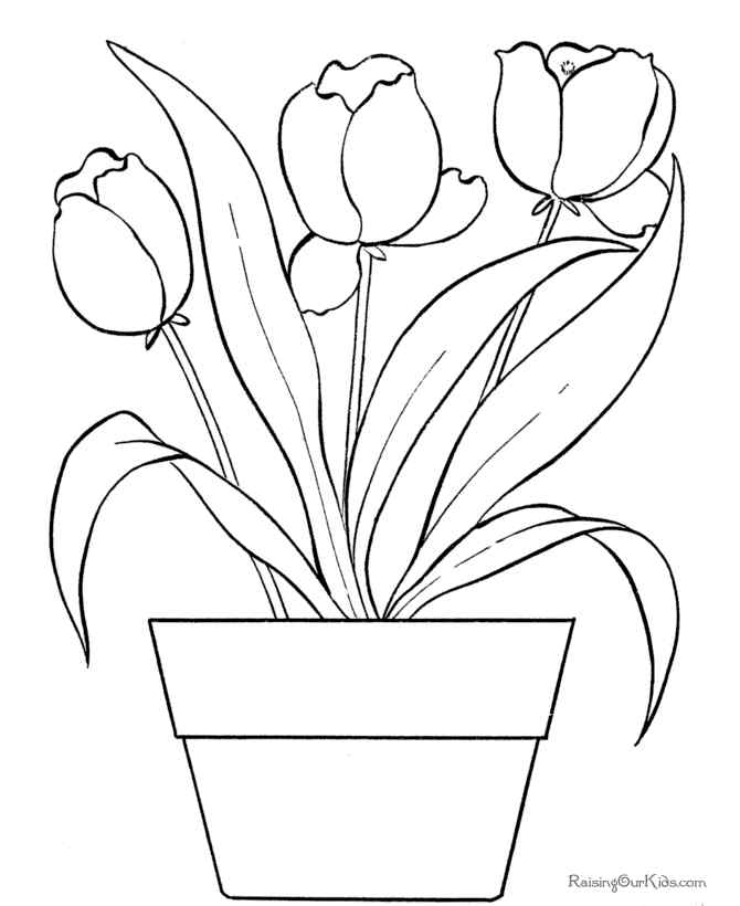 New Amazing Tulip Coloring Page