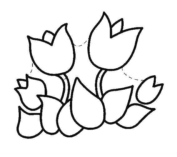 New Print Tulip Coloring Page