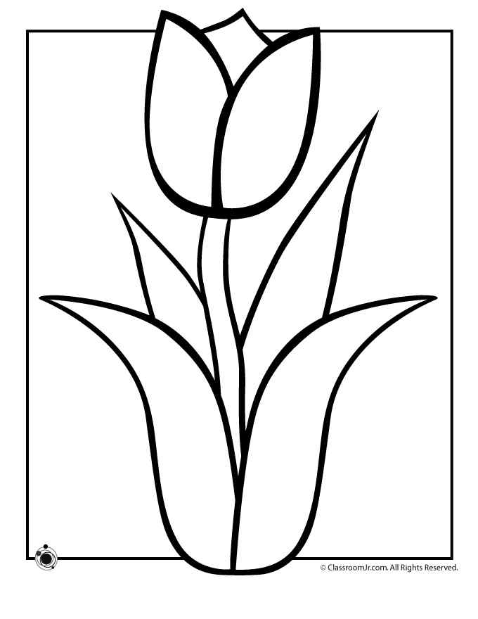 New Printable Tulip For Us