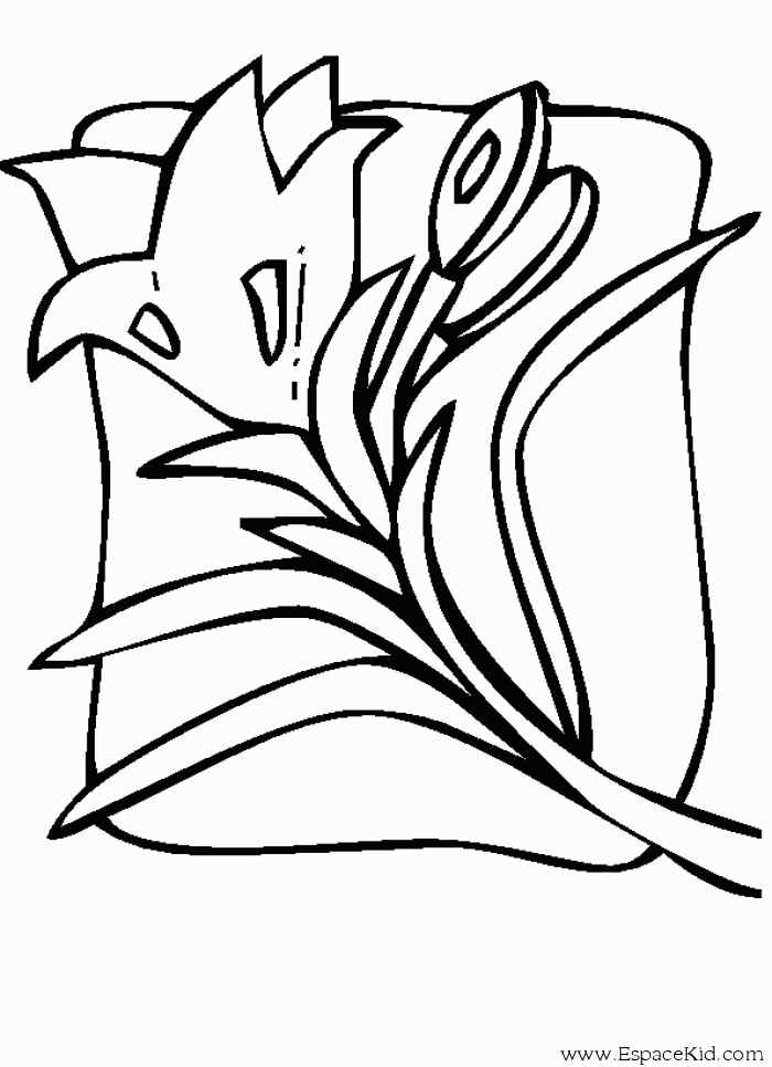 New Printable Tulip For Kids Coloring Page