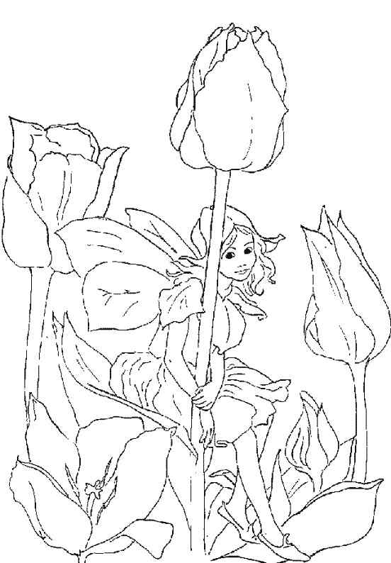 New Tulip To Print Coloring Page