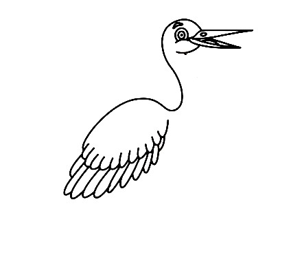 How To Draw A Crane Bird - The Details Instructions 6 crane step5