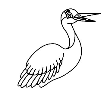 How To Draw A Crane Bird - The Details Instructions 7 crane step66