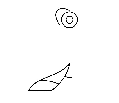 How To Draw Dory - The Details Instructions 3 dory step2