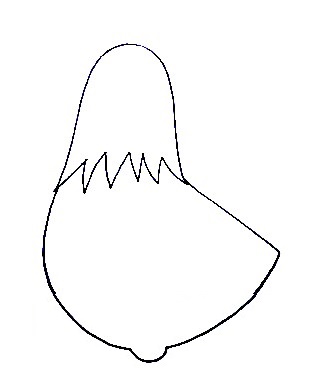 How To Draw A Hen - The Details Instructions 3 hen step2