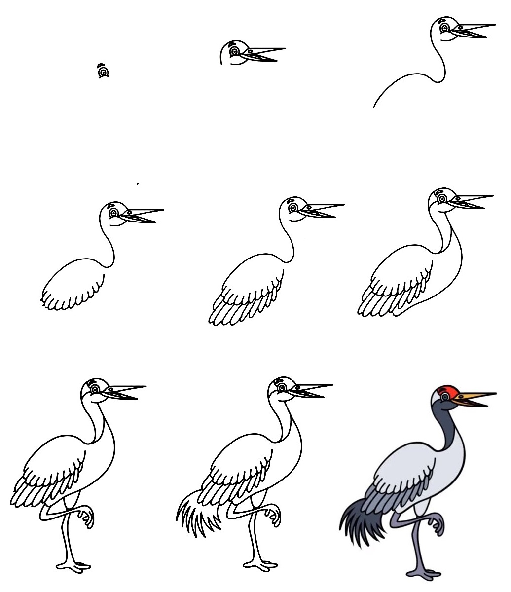 how to draw crane