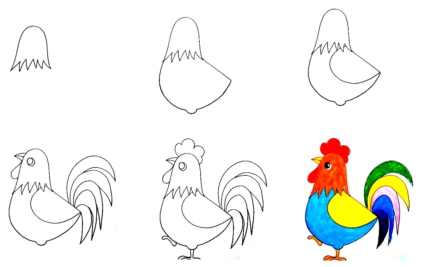 how to draw hen