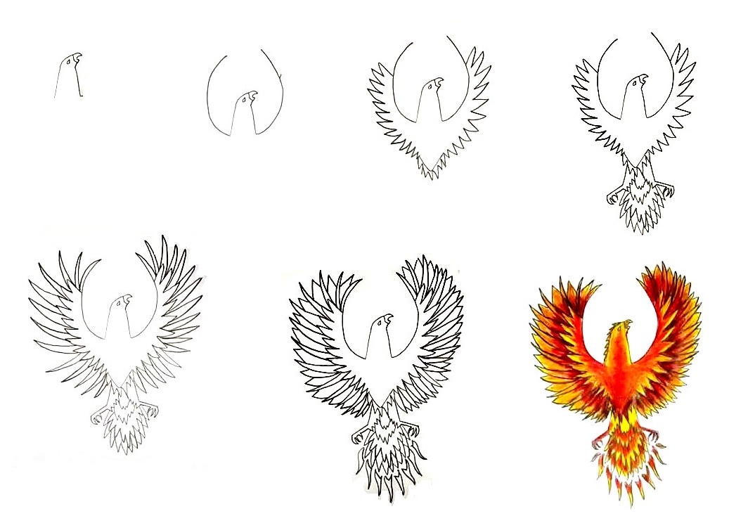 How To Draw A Phoenix - The Details Instructions 1 how to draw