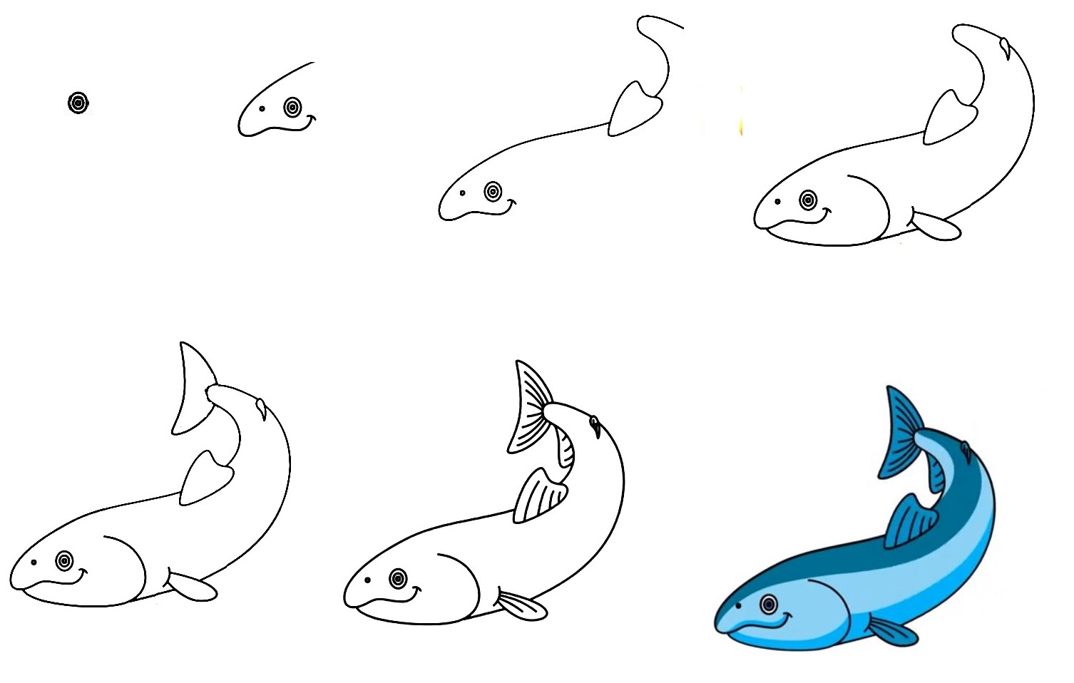 how to draw salmon