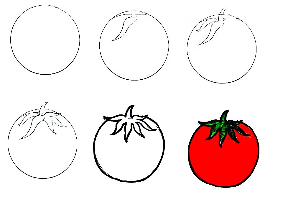 how to draw tomato