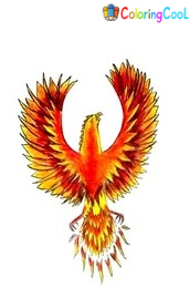 7 Easy Steps To Create A Phoenix Drawing – How To Draw A Phoenix Coloring Page