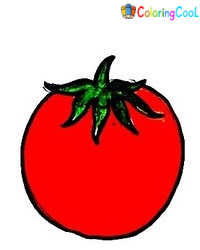 How To Draw A Tomato  –  6 Easy Steps Creating A Tomato Drawing Coloring Page
