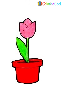 8 Steps To Make A Tulip Drawing Coloring Page
