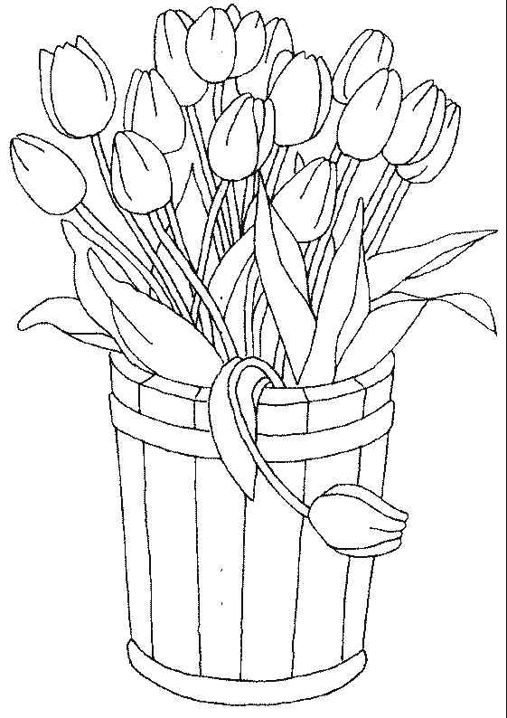 Multi Tulips Coloring Page
