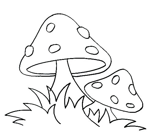 mushroom step7