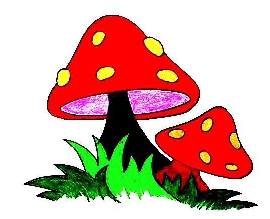 How To Draw The Mushrooms
