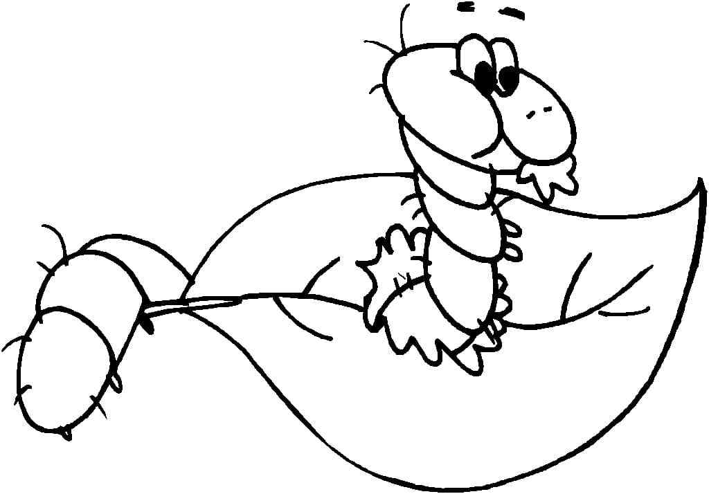 New Caterpillar Coloring Page