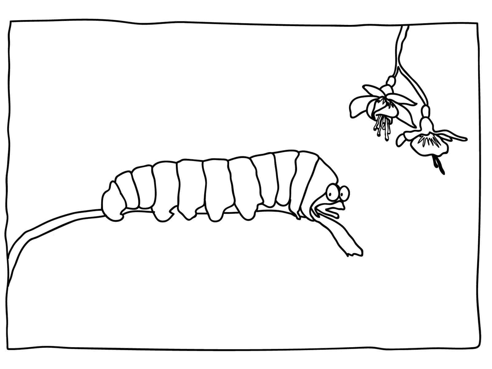 Frightened Insect Crawled Too High Coloring Page