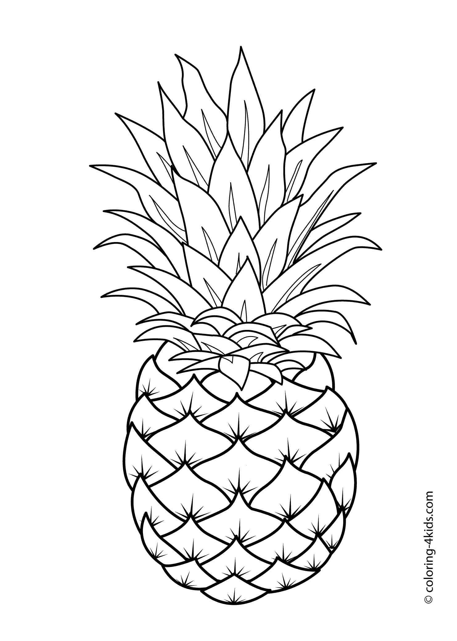 New Simple Pineapple