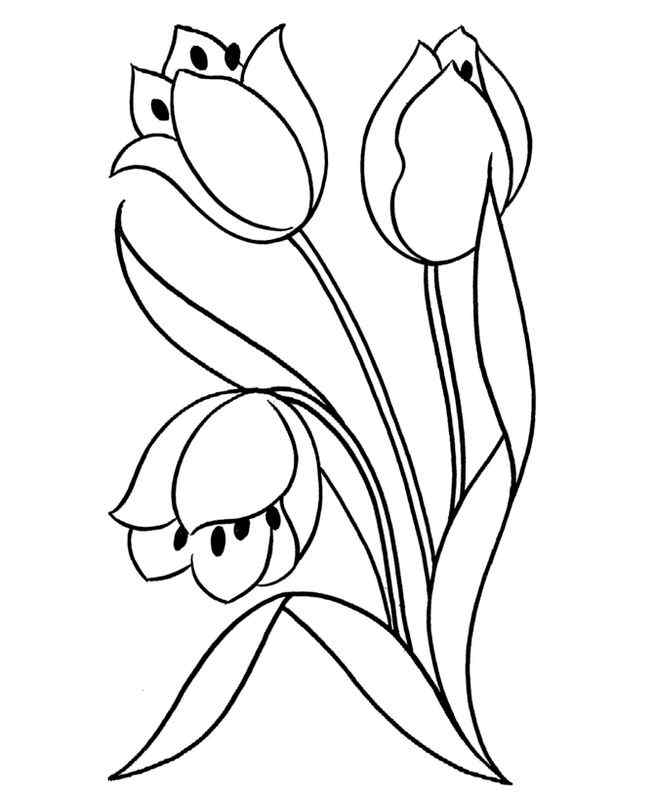 Nice Three Tulip Coloring Page