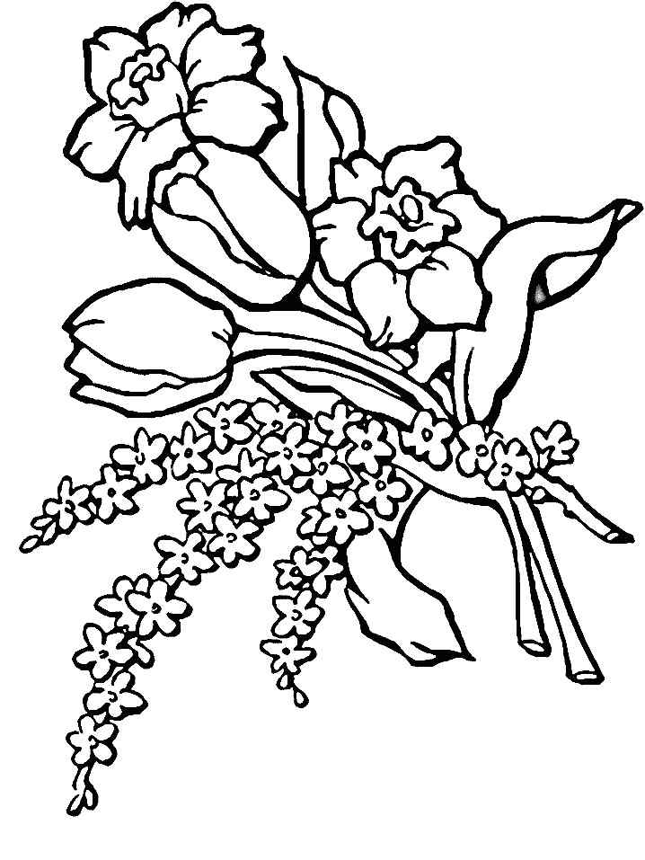Nice Tulip Boutquet Coloring Page