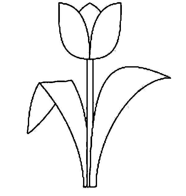 Cute Tulip For Kids Coloring Page