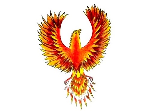 phoenix-drawing-7