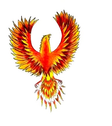 How To Draw A Phoenix - The Details Instructions 8