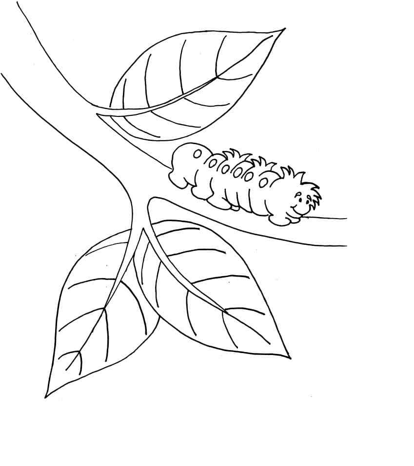 Small Fluffy Insect Coloring Page