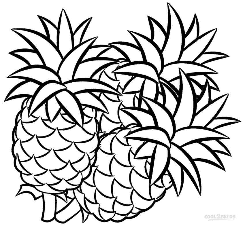 Three Pineapple