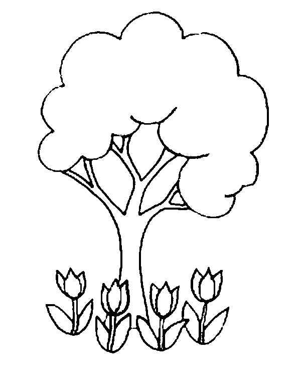 Tulip And Three Coloring Page