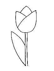 tulip step6