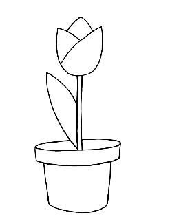 tulip step8 1