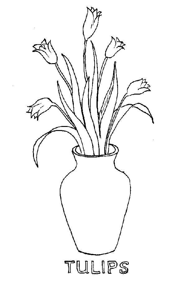 Vase Of Five Tulips Coloring Page