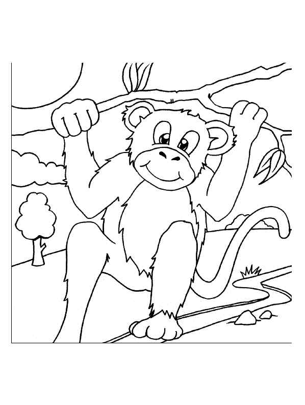 Monkey Under Branch Coloring Page