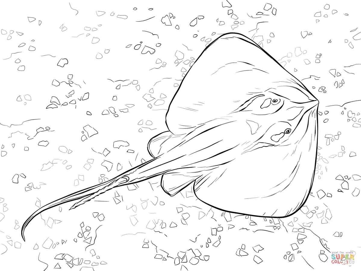 Common Stingray Coloring Page