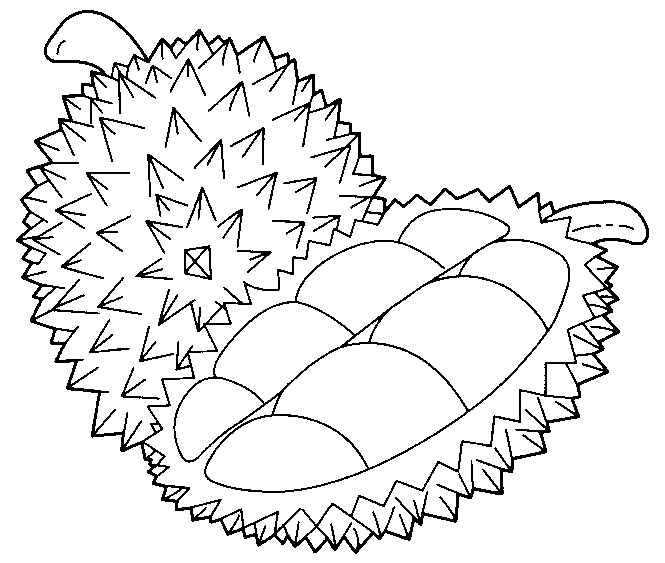 Durian Fruit Coloring Page